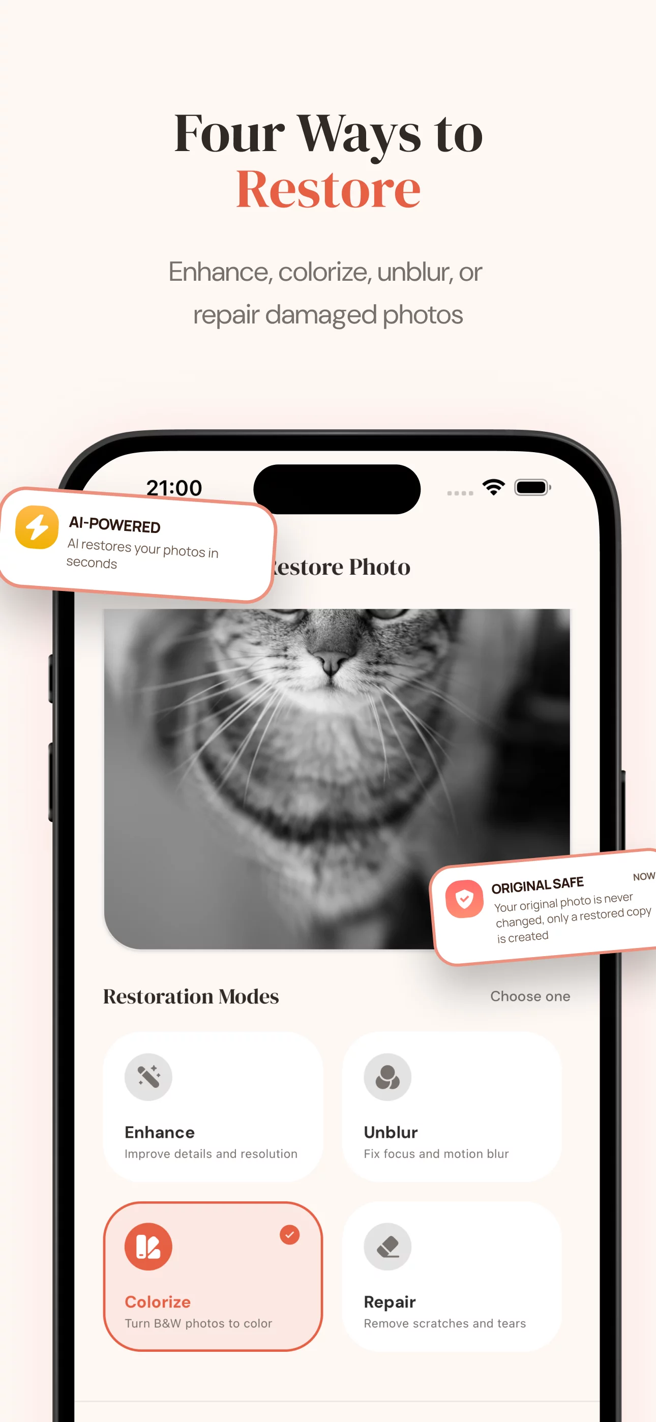 SnapRenew model catalog with categories for restoration, creative styles, and AI editing